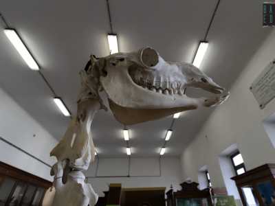 Al centro della sala poi...